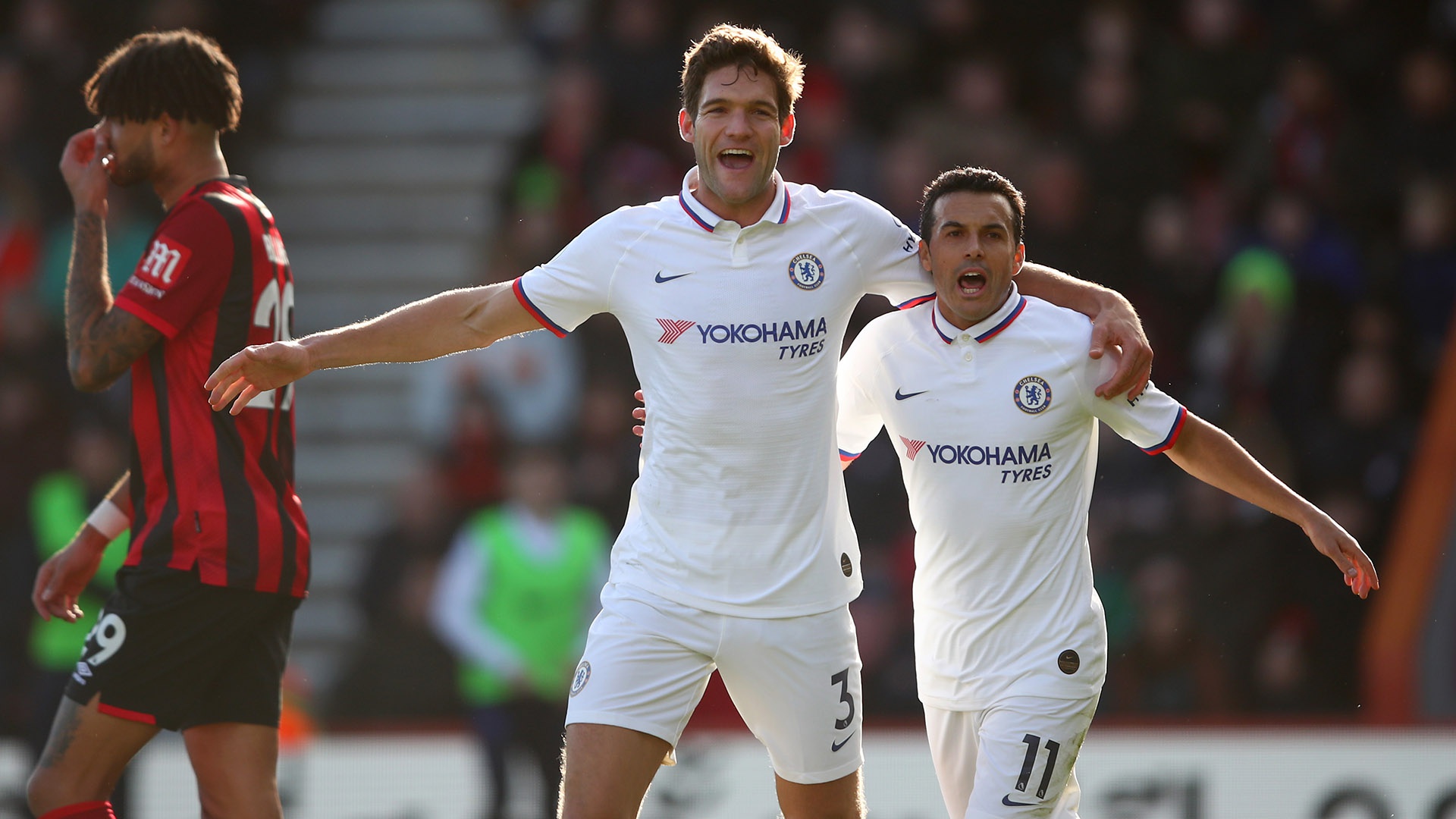 风暴防守队 风暴防守队